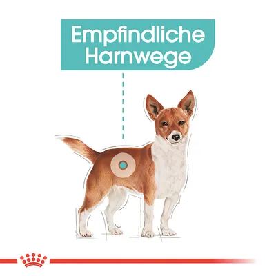 Občutljive sečne poti. Ilustracija psa z označenim predelom mehurja.