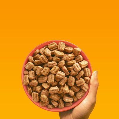 Hand met roze voerbak gevuld met bruine brokjes dierenvoer tegen oranje achtergrond, geen merknaam of tekst zichtbaar.