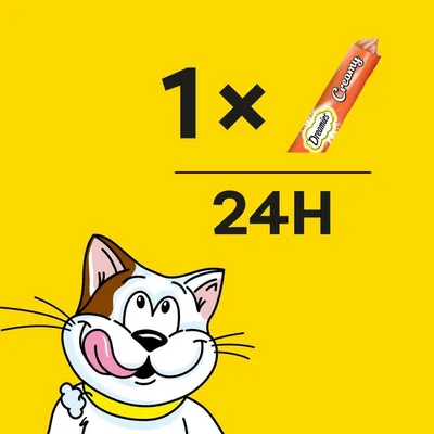 Consigli di somministrazione: 1 Dreamies Creamy Snack ogni 24 ore. Illustrazione di un gatto su sfondo giallo.