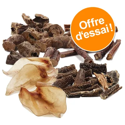 Assortiment de friandises séchées pour chien, morceaux variés. Pastille orange avec texte : Offre d’essai !