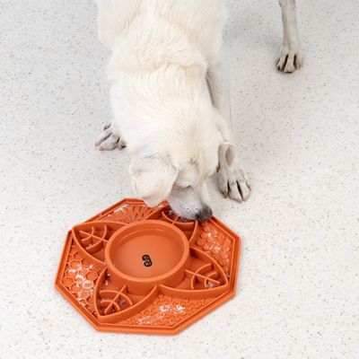 Chien blanc mangeant sur un tapis d’alimentation interactif orange à compartiments, motif octogonal, matériau plastique visible.