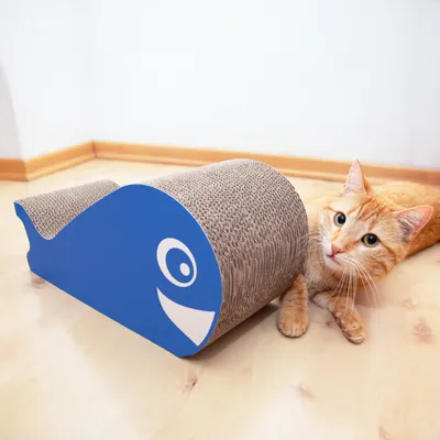 Kratzspielzeug aus Wellpappe in Walform mit blauem Design, neben einer orangefarbenen Katze auf Holzboden.
