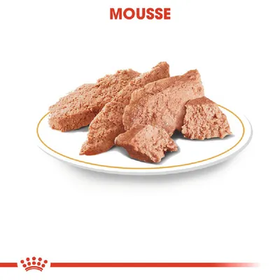 Mousse na belem krožniku, predstavljena kot opis izdelka za hrano za živali.