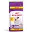 Royal Canin Size pienso para perros en oferta: hasta 3 kg ¡gratis! Giant Adult (15 + 3 kg)