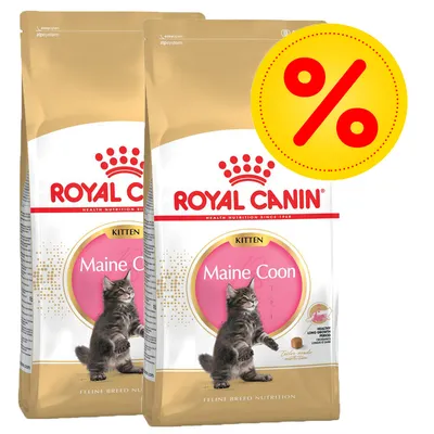 To poser Royal Canin Kitten Maine Coon kattefoder med billede af killing og stor gul procent-tegn, tilbudsmarkering synlig på pakken.