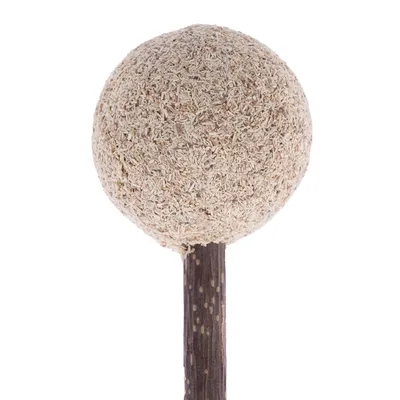 Bola de material prensado en un palo de madera, adecuada para mascotas para masticar o jugar.