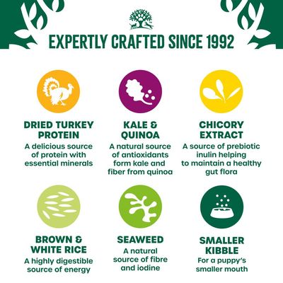 James Wellbeloved Puppy/Junior Hypoallergenic Superfoods - Turkey with Kale & Quinoa