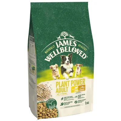 Bag labelled Plant Power Adult with lamb and lentils, hypoallergenic, plant first recipe, natural protein source, healthy digestion, no wheat or maize, 1.5kg.