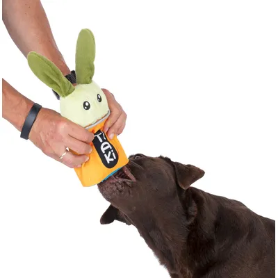 Hund leker med en orange plyschleksak med gröna öron och texten 'Taki', som hålls av en person.
