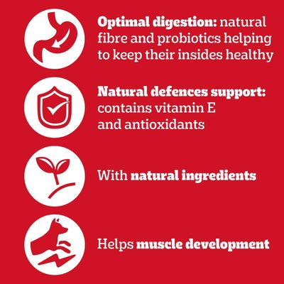 Optimal digestion with natural fibre and probiotics, supports natural defences with vitamin E and antioxidants, contains natural ingredients, helps muscle development.