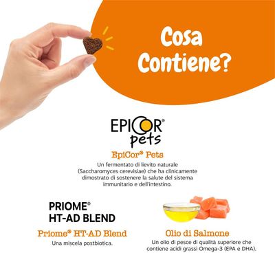 EpiCor Pets, Priome HT-AD Blend e olio di salmone come ingredienti principali. EpiCor Pets è un additivo a base di lievito fermentato, Priome è una miscela postbiotica, l'olio di salmone contiene Omega-3.