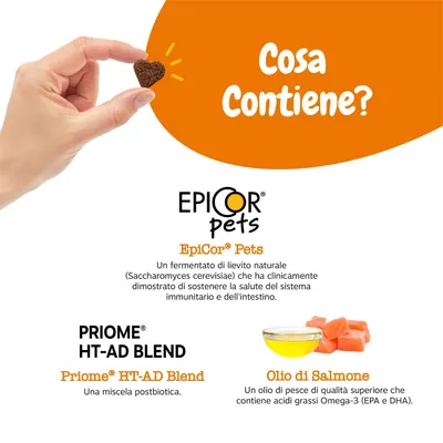 EpiCor Pets, Priome HT-AD Blend e olio di salmone come ingredienti principali. EpiCor Pets è un additivo a base di lievito fermentato, Priome è una miscela postbiotica, l'olio di salmone contiene Omega-3. EpiCor Pets, Priome HT-AD Blend e olio di salmone come ingredienti principali. EpiCor Pets è un additivo a base di lievito fermentato, Priome è una miscela postbiotica, l'olio di salmone contiene Omega-3.