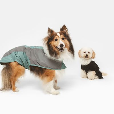 Two dogs wearing dog coats, one in grey-green and the other in black. Display of dog clothing for various sizes.