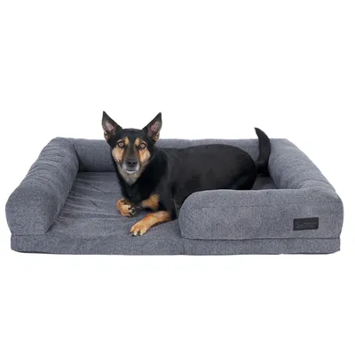 Chien noir allongé sur un grand panier rectangulaire gris en tissu avec rebords, étiquette visible portant la marque Modern Living.