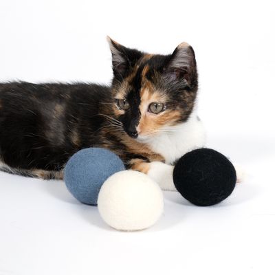 Трёхцветная кошка с тремя фетровыми мячами: синий, белый, чёрный. На продукте изображена игрушка для кошек.