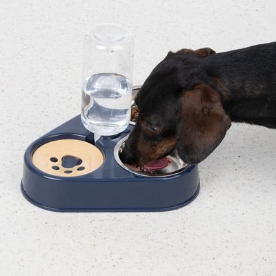 Dog eating from a blue food and water bowl with integrated bottle holder. Shows product in use.