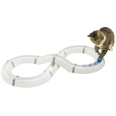Circuit de jeu en plastique blanc en forme de huit avec une balle bleue, un chat tigré joue avec la balle à l’extrémité du circuit.