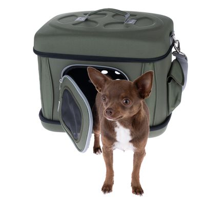Borsa da trasporto verde con apertura a rete, piccolo cane marrone davanti alla borsa aperta.