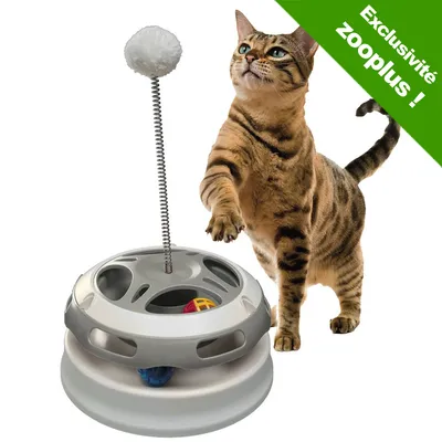 Jouet interactif pour chat en plastique avec balle, ressort et pompon blanc. Chat tigré à côté. Bandeau vert : Exclusivité zooplus ! Jouet interactif pour chat en plastique avec balle, ressort et pompon blanc. Chat tigré à côté. Bandeau vert : Exclusivité zooplus !