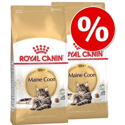 Royal Canin Adult Maine Coon Katzenfutter, zwei Packungen mit Rabatt-Symbol. Joint Support für gesunde Gelenke, Feline Breed Nutrition.