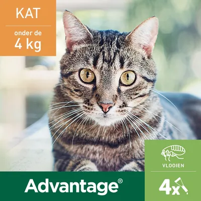 Advantage pour chat, onder de 4 kg, 4x, vlooien. Texte partiellement en néerlandais.
