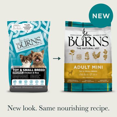 Burns Adult & Senior Original Toy & Small Breed - Poulet et riz - Emballage économique : 2 x 6kg