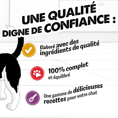 Qualité : élaboré avec des ingrédients de haute qualité, 100 % complet et équilibré, sélection de délicieuses recettes pour chats.