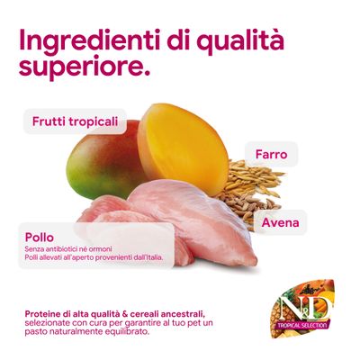 Componenti di alta qualità: frutta tropicale, farro, avena, pollo senza antibiotici né ormoni, proveniente dall'Italia. Proteine e cereali antichi per pasti equilibrati.