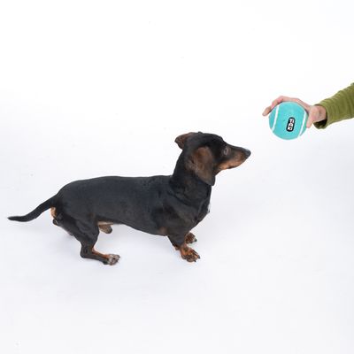 TIAKI tennisball i mellomstor størrelse