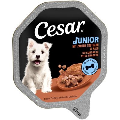 Cesar Junior with tender turkey & veal. Supports the growth of puppies.