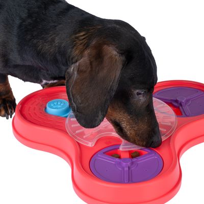 Cane che gioca con un gioco interattivo rosso con scomparti per crocchette e elementi mobili.