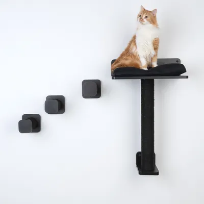 Set tiragraffi da parete con colonna in sisal nero, piattaforma e tre gradini. Gatto seduto sulla piattaforma superiore.