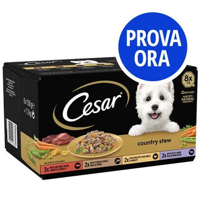 Confezione Cesar country stew 8x150g, ingredienti naturali, vari gusti visibili: manzo, tacchino, agnello, verdure. Testo cerchio blu: PROVA ORA.