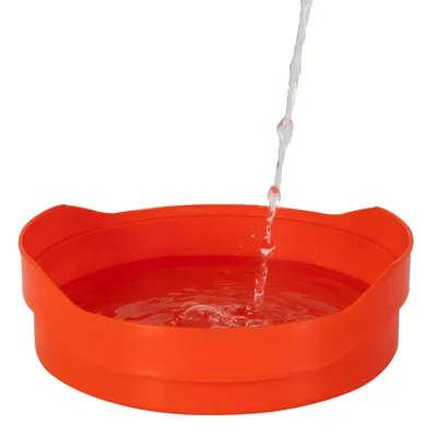 Gamelle ronde en plastique orange, de l'eau est versée à l'intérieur. Aucun texte ou marque visible.