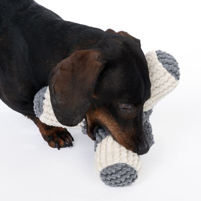 Hond speelt met een grijs-wit stoffen speeltje in de vorm van een bot.