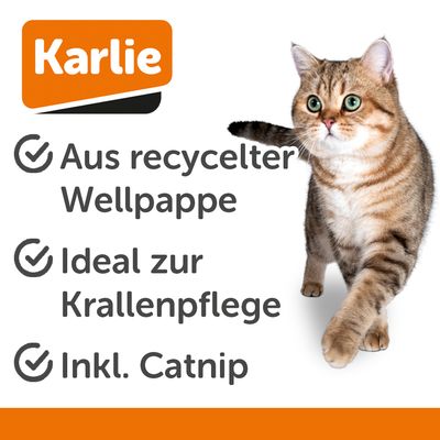 Wellige Kratzfläche aus Pappe mit gelbem Rand und Leopardenmuster.