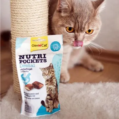 GimCat Nutri Pockets Dental met gevogelte, verpakking met afbeelding van kat en tand-icoon. Tekst: helpt tandsteen en plaque te verminderen. Kat zichtbaar naast verpakking.