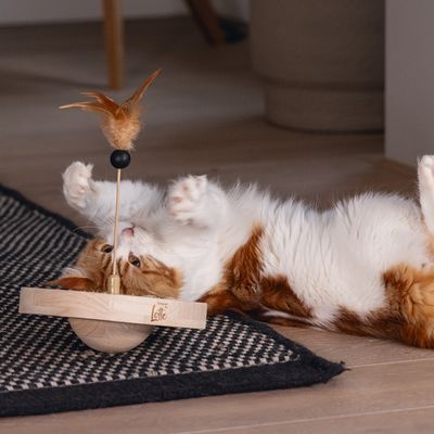 Drewniana zabawka z piórkiem i kulką, marka Lotte. Kot bawi się zabawką na dywanie.