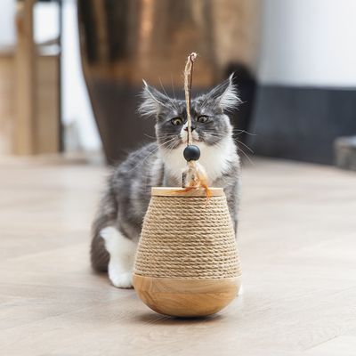 Kattenspeelgoed van hout en touw met hangende bal, getoond door een kat.