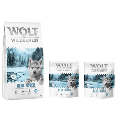 Wolf of Wilderness Logo. Hund springt über moosbedeckte Felsen in einem Wald.