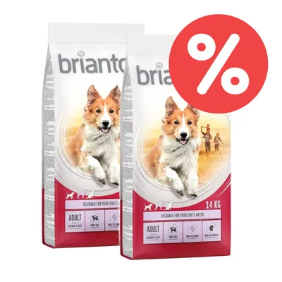 Briantos Hundefutter Adult, Lachs & Reis, 14 kg. Designed for your dog's needs. Hohe Verträglichkeit, shiny coat, hergestellt in Deutschland. Rabatt-Symbol sichtbar.