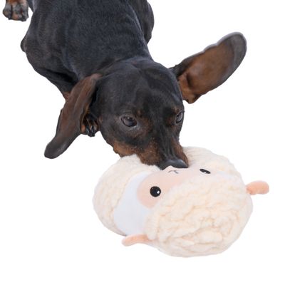 Hund spielt mit einem Plüschspielzeug in Form eines Schafs. Spielzeug aus weichem Material mit niedlichem Gesicht und Ohren.