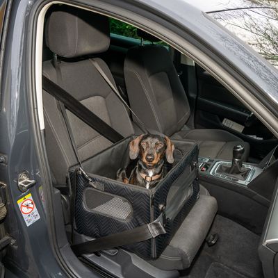 Chien assis dans un siège auto pour animaux fixé sur le siège passager avant d’une voiture, ceinture de sécurité visible, parois en tissu avec fenêtres en maille.