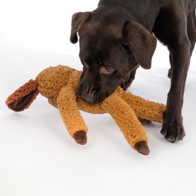 Bruine hond speelt met een pluchen speelgoed in de vorm van een bruin dier met lange poten.