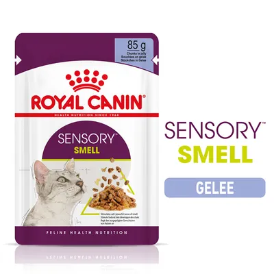 Sachet Royal Canin Sensory Smell 85 g, bouchées en gelée pour chats. Texte visible : SENSORY SMELL, GELEE, Feline Health Nutrition. Image d’un chat et de la nourriture.
