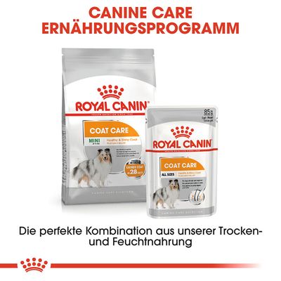 Royal Canin Coat Care hrană uscată și umedă pentru blană sănătoasă și strălucitoare. Combinație de hrană uscată Mini și hrană umedă All Sizes, vizibilă în ambalaj.