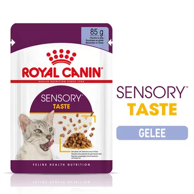 ROYAL CANIN SENSORY TASTE, 85 g, bouchées en gelée pour chat. Texte visible : SENSORY TASTE, GELEE, Feline Health Nutrition. Image d’un chat et de la nourriture en gelée.