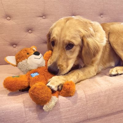 Cane sdraiato su un divano con un gioco di peluche arancione a forma di volpe con dettagli ricamati.