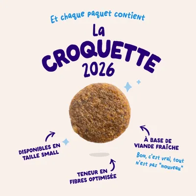 Edgard & Cooper Large Adult Dog Saumon sans céréales - 12 kg