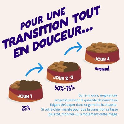 Edgard & Cooper Large Adult Dog Saumon sans céréales